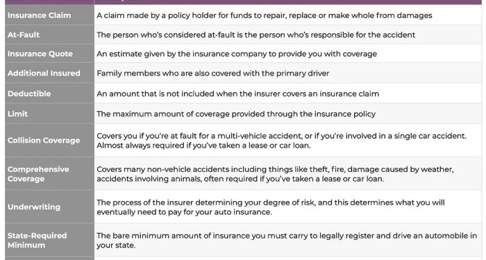Everything You Need to Know About Auto Insurance