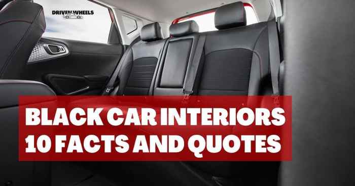 Why Black Car Interiors Dominate the Market: 10 Facts and Quotes ...