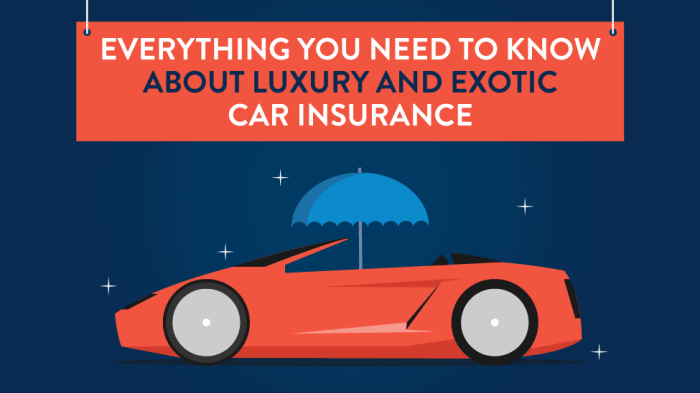 Everything You Need to Know About Luxury and Exotic Car Insurance ...